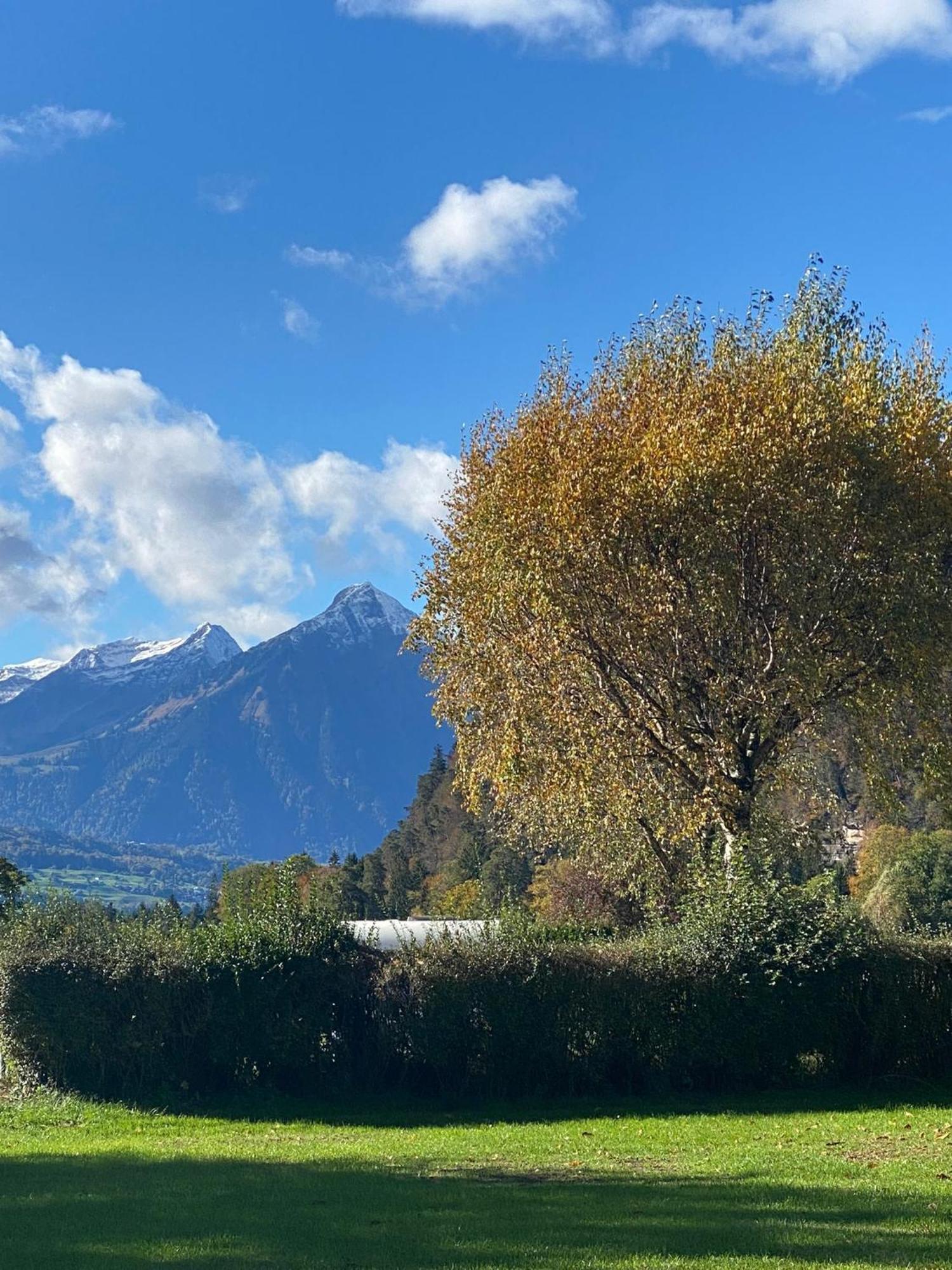 Unique Tiny Eco Lodges With Gorgeous Views To Jungfrau Massiv Interlaken Bagian luar foto