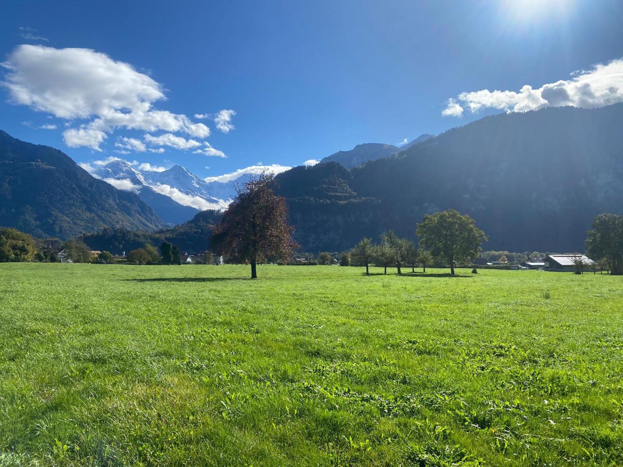 Unique Tiny Eco Lodges With Gorgeous Views To Jungfrau Massiv Interlaken Bagian luar foto